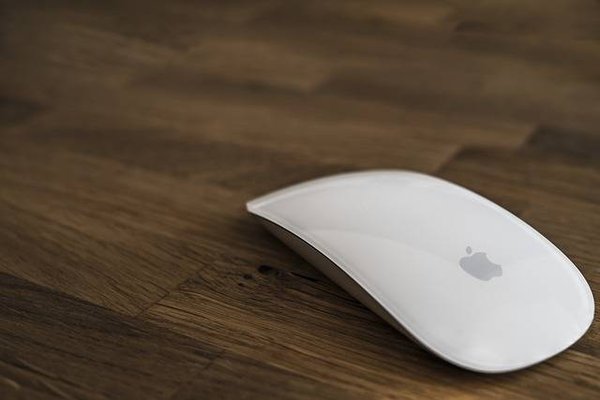 Comment choisir la meilleure souris pour une utilisation professionnelle ?